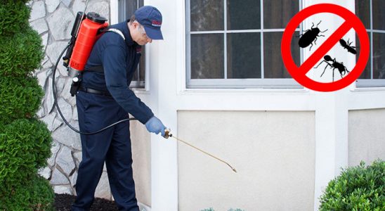 Yerköy Böcek ve Haşere İlaçlama böcek ilaçlama ve haşere kontrolü — ilaclama-tr.com